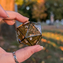 Load image into Gallery viewer, &quot;Framed Greenhouse&quot; Chonky 50mm D20
