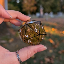 Load image into Gallery viewer, &quot;Framed Greenhouse&quot; Chonky 50mm D20
